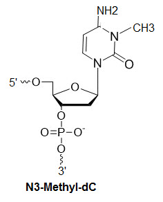 Bio-Synthesis Inc. Oligo Structure